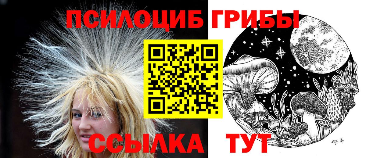 Дубна  Галлюциногенные грибы Magic Shrooms  Вход с VPN 